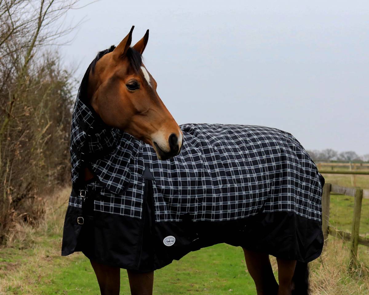 trewyn 350g turnout rug fixed neck waterproof horse rug heavy weight turnout rug 600d ripstop teflon coated 350g waterproof turnout rug pony to shire sizing horse wearing fixed neck turnout rug in field winter turnout rug with tail flap and gusset