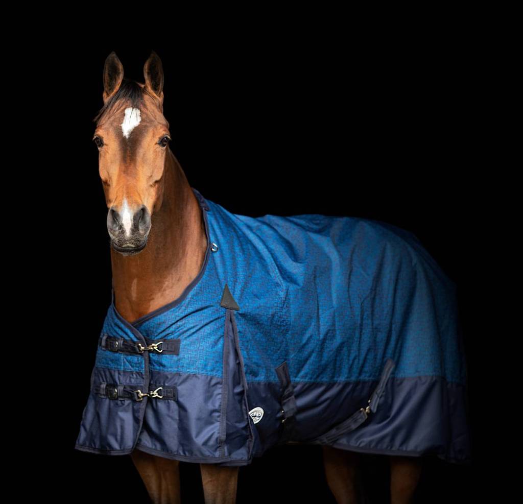 furisto 200g turnout rug waterproof standard neck horse rug 200g horse turnout rug 600d ripstop waterproof standard neck turnout rug pony to shire sizing horse wearing waterproof turnout rug in field durable winter horse rug with tail flap and gussets