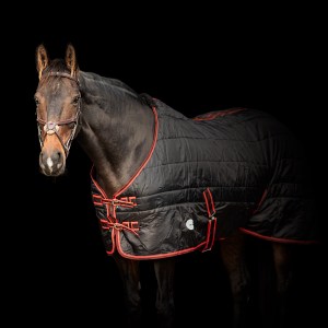 Bandit 200g Standard Neck Stable Rug