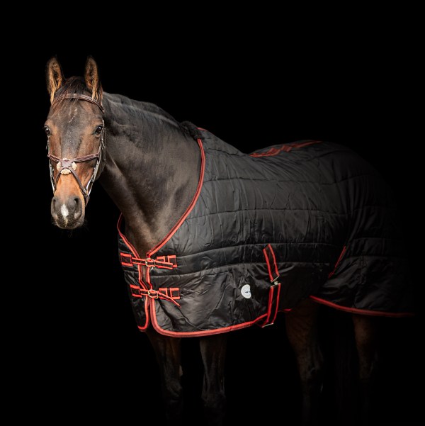 Bandit 200g Standard Neck Stable Rug