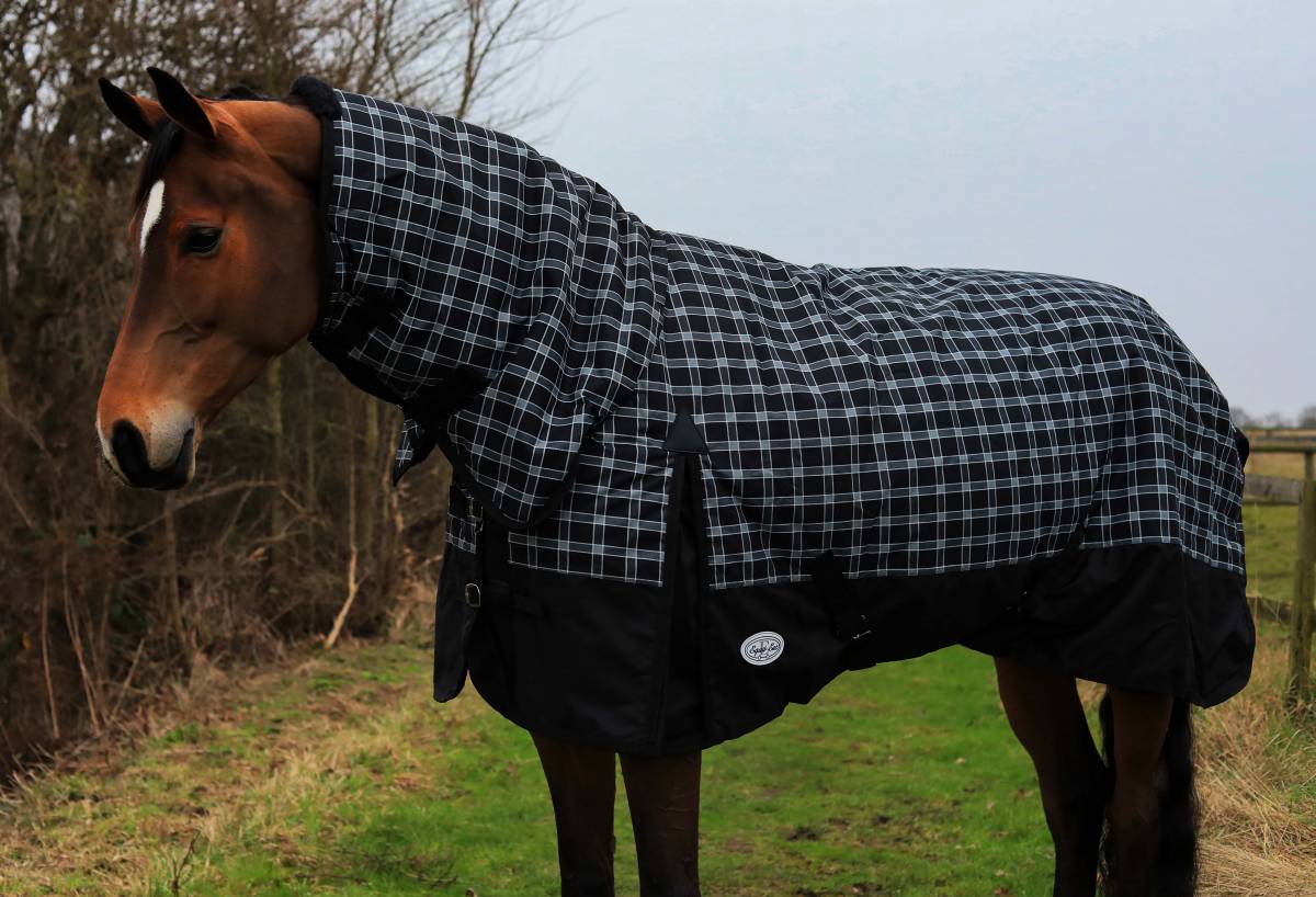 Trewyn 350g Heavy Weight Turnout Rug - Image 2