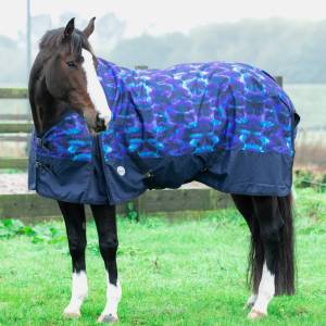 Lightweight Turnout Rug