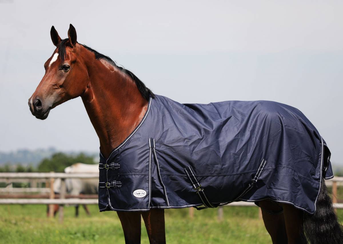 Ocean lightweight Turnout Rug - Image 2