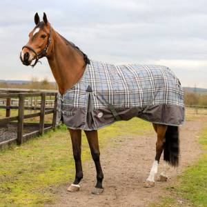Double Vision 350g Turnout Rug