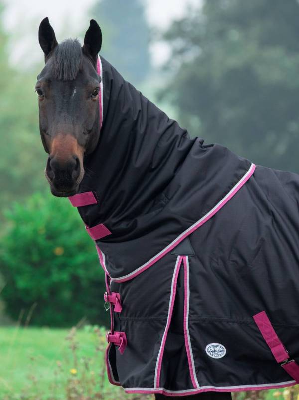 Espoir 200g Detachable Neck Turnout Rug