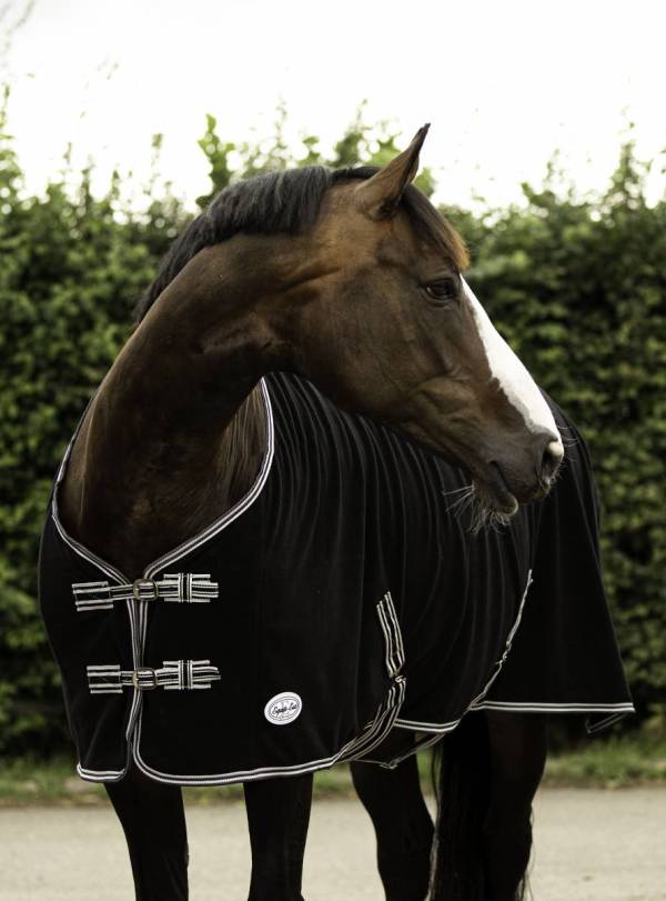 orca fleece horse rug cooler rug fleece cooler rug for horses moisture wicking horse wearing fleece rug after exercise travel horse fleece rug pony to shire sizing anti pill fleece horse rug with surcingles