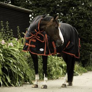 Amazon 100g Turnout Rug