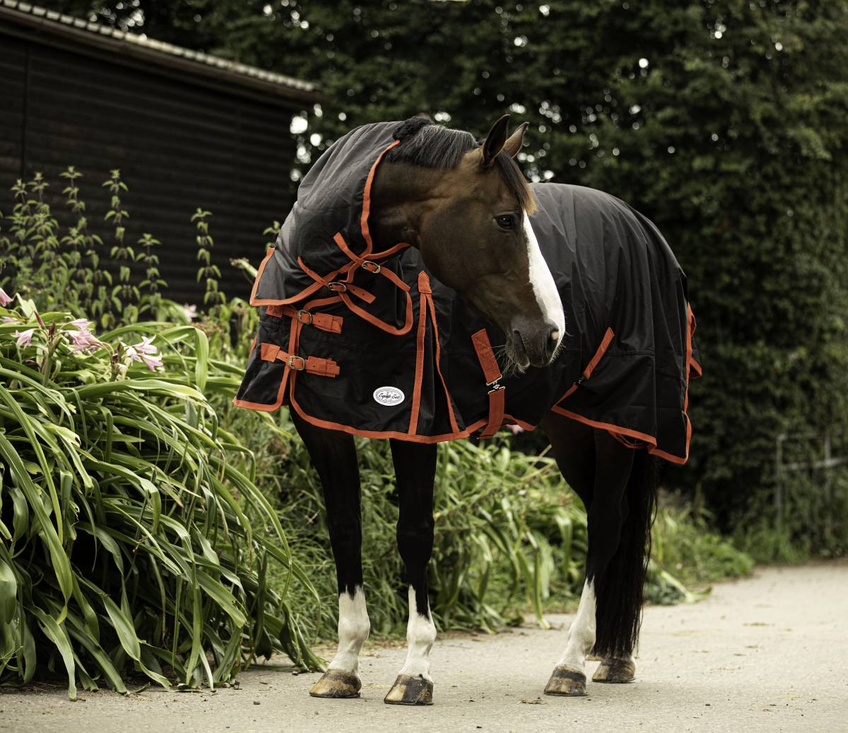 amazon 100g turnout rug fixed neck waterproof horse rug 100g turnout rug fixed neck horse rug waterproof lightweight turnout rug pony to shire sizing horse wearing turnout rug in field waterproof 600d ripstop turnout rug with tail flap