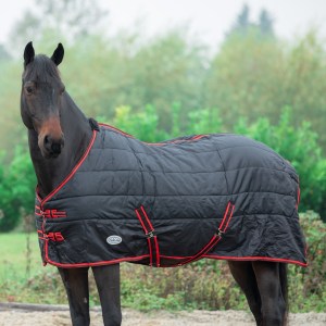 Bandit 200g Standard Neck Stable Rug