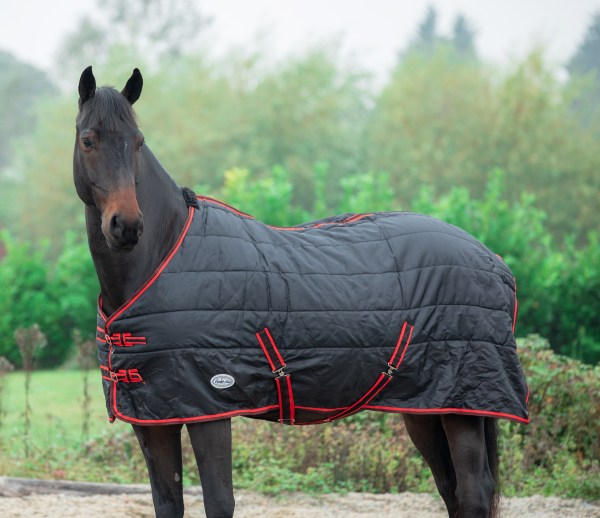 Bandit 200g Standard Neck Stable Rug