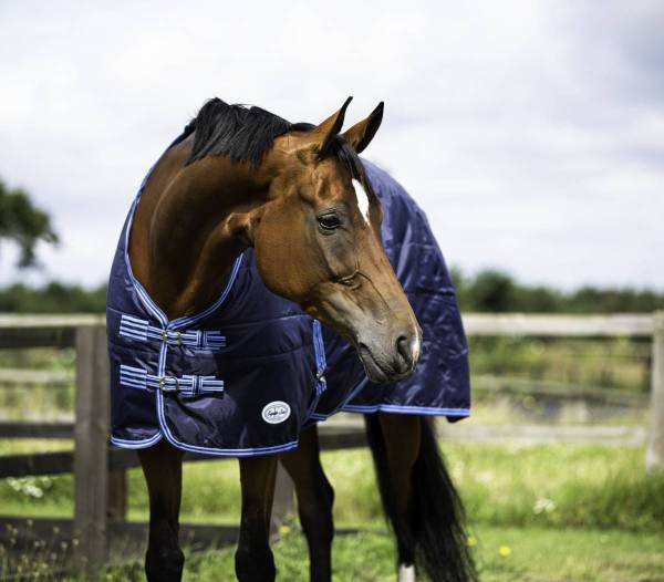 Zambezi 100g Stable Rug