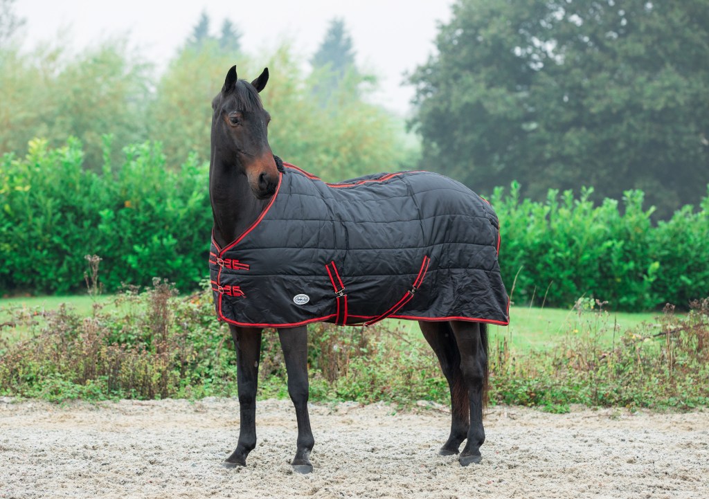 Bandit 200g Standard Neck Stable Rug
