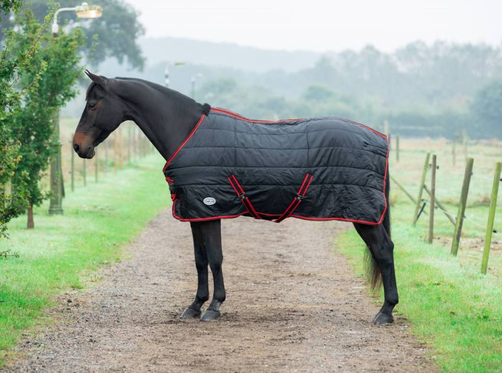 bandit 200g stable rug medium weight horse rug 200g stable rug standard neck autumn horse rug medium weight horse stable rug pony to shire sizing durable stable rug with nylon lining horse wearing 200g stable rug in stable