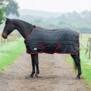 Bandit 200g Stable rug
