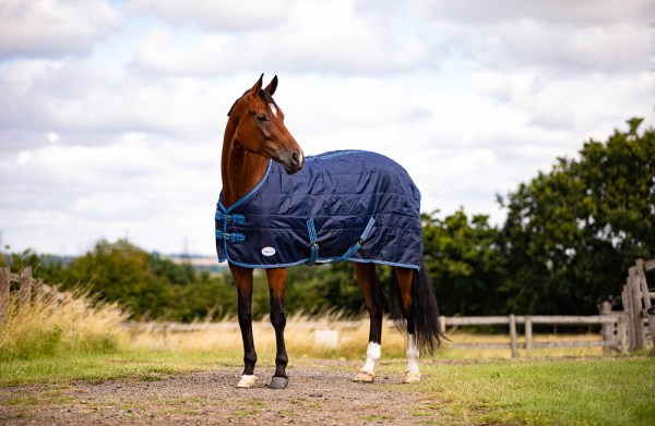 zambezi 100g stable rug lightweight horse rug 100g stable rug standard neck horse rug lightweight horse stable rug pony to shire sizing durable stable rug nylon lining horse wearing 100g stable rug in stable