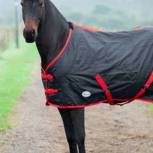 Equii-Est Original Sheet - Image 2