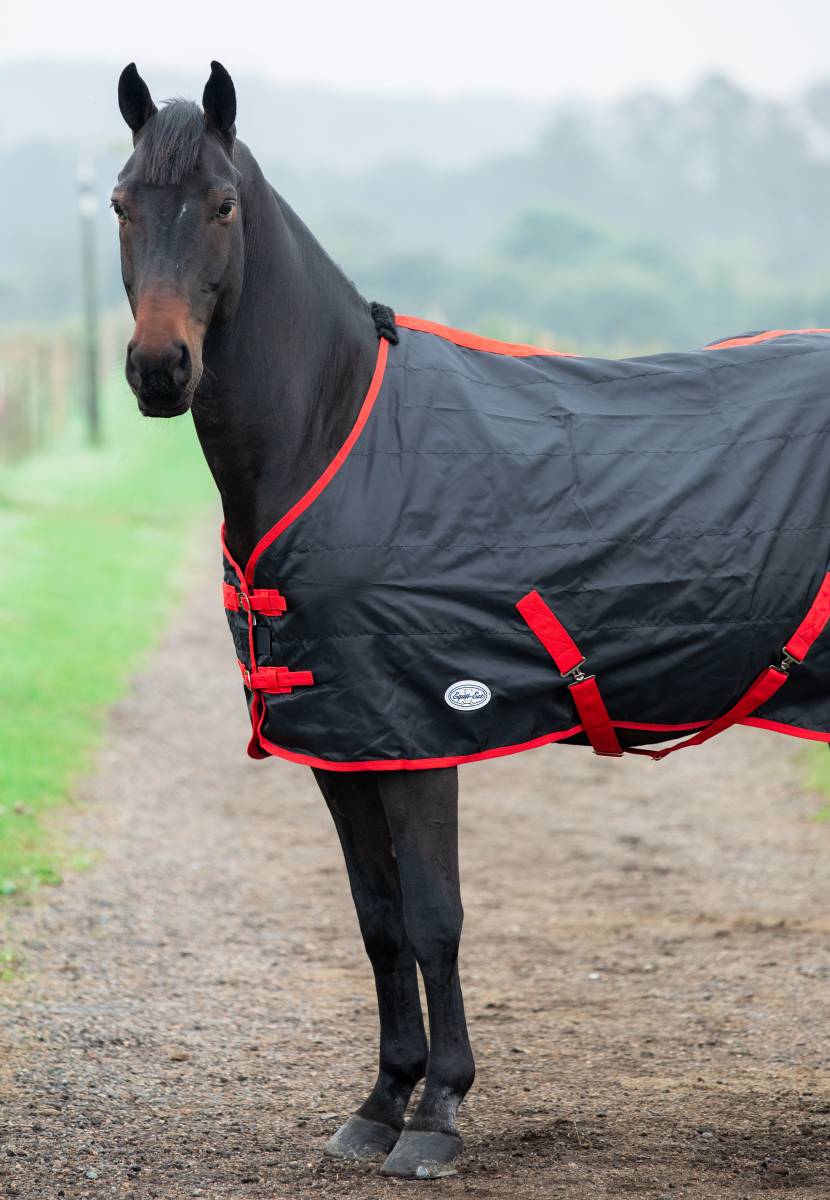 Equii-Est Original Sheet - Image 2