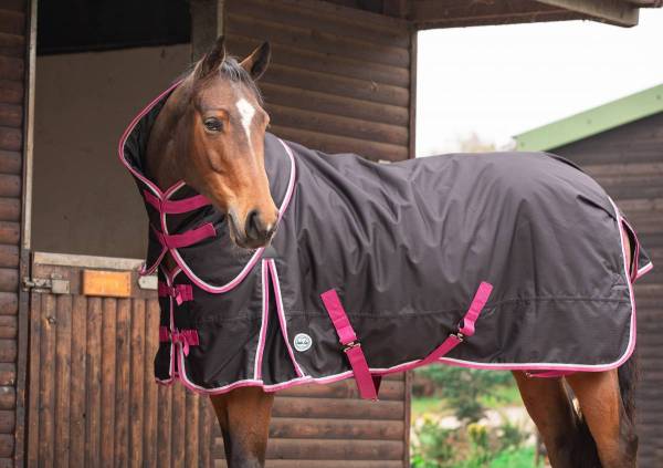 espoir 200g turnout rug detachable neck waterproof 200g turnout rug detachable neck horse rug medium weight waterproof turnout rug pony to shire sizing horse wearing turnout rug in field winter 600d ripstop turnout rug with tail flap