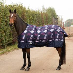 Dream Lightweight Turnout Rug