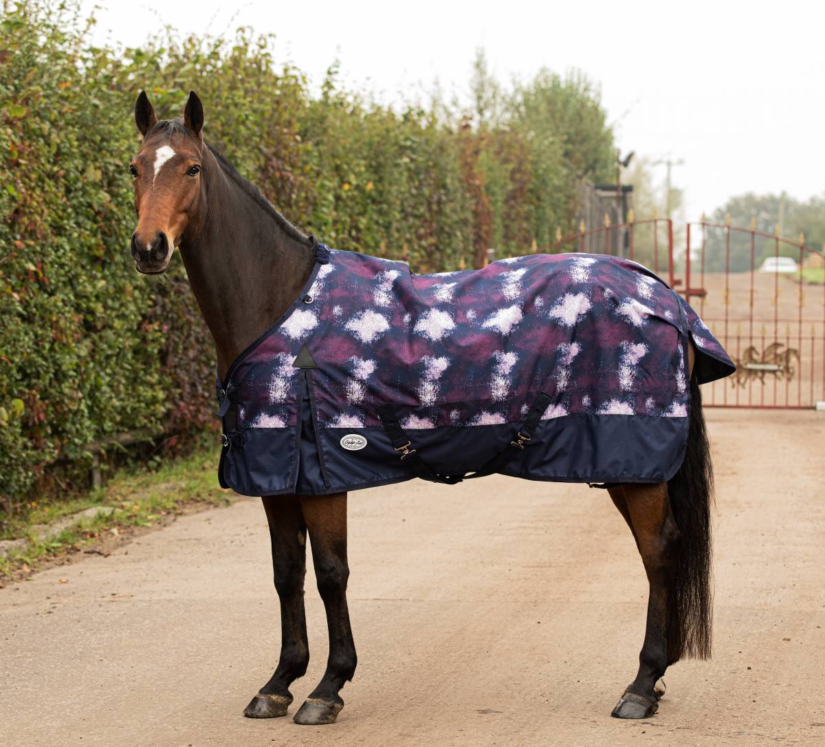 Dream Lightweight Turnout Rug - Image 1