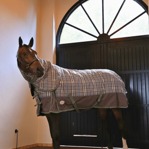 Double Vision 350g Turnout Rug Neck Attachment - Image 2