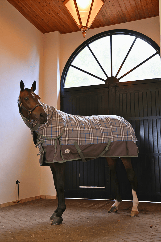 Double Vision 350g Turnout Rug Neck Attachment