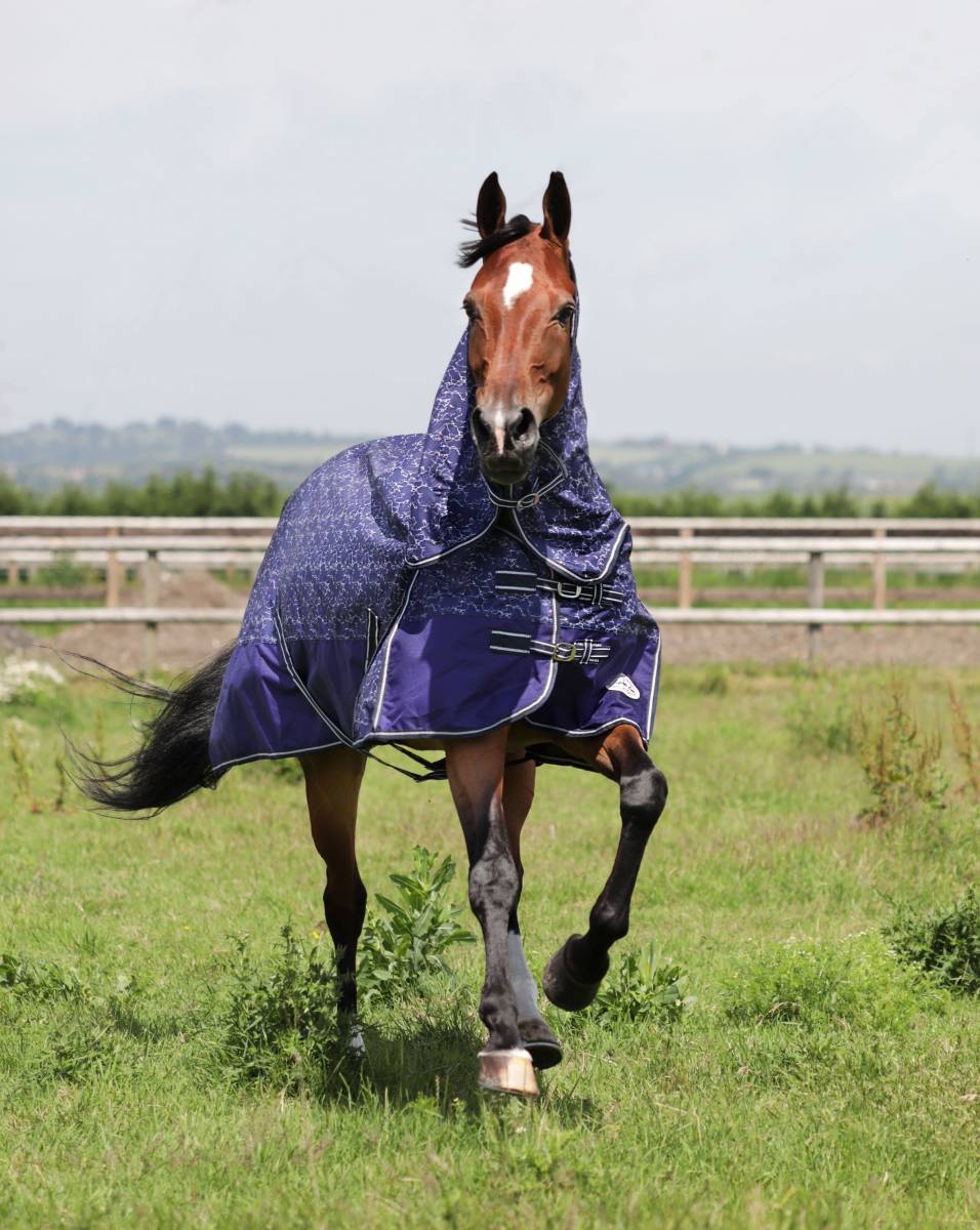 Atlantic 0g Lightweight Turnout Rug - Image 3