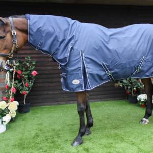 Oakley Lightweight Turnout Rug - Image 4