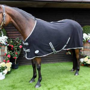 Orca Fleece Rug - Image 2