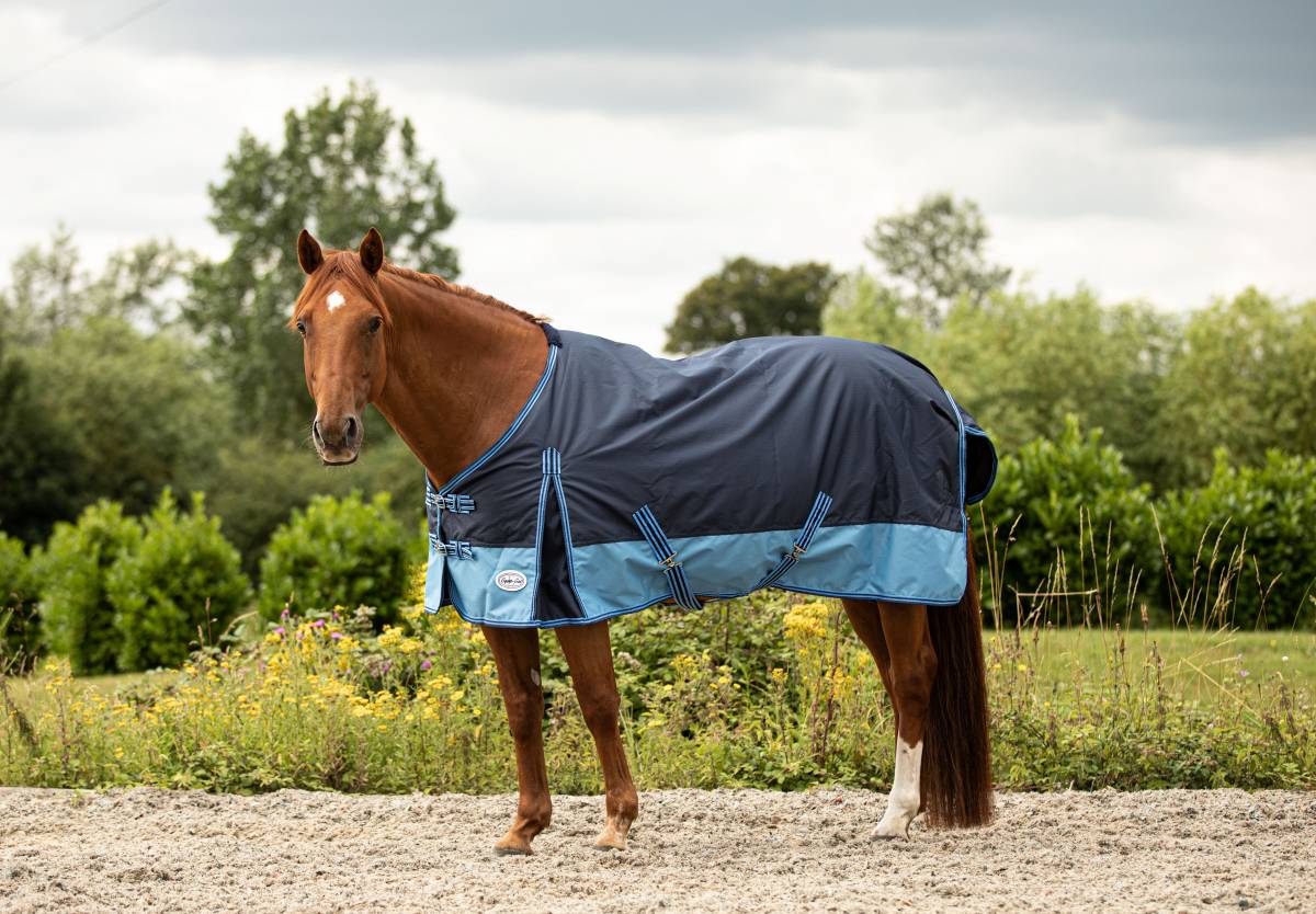 caravella 100g turnout rug blue waterproof horse rug 100g turnout rug lightweight waterproof horse rug horse wearing turnout rug in field blue two tone lightweight turnout rug pony to shire sizing durable 600d turnout rug with tail flap