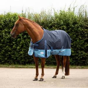 Caravella 100g Turnout Rug - Image 2