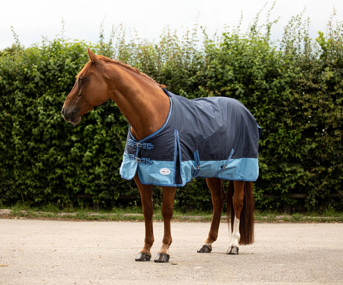 Caravella 100g Turnout Rug - Image 2