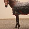 Sovereign Seal 350g Standard Neck Stable Rug