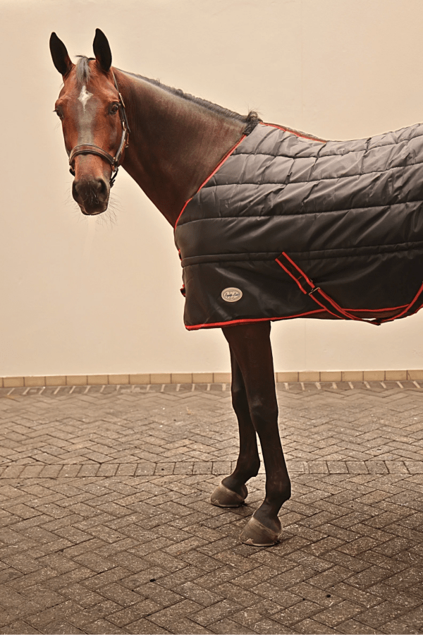 Sovereign Seal 350g Standard Neck Stable Rug