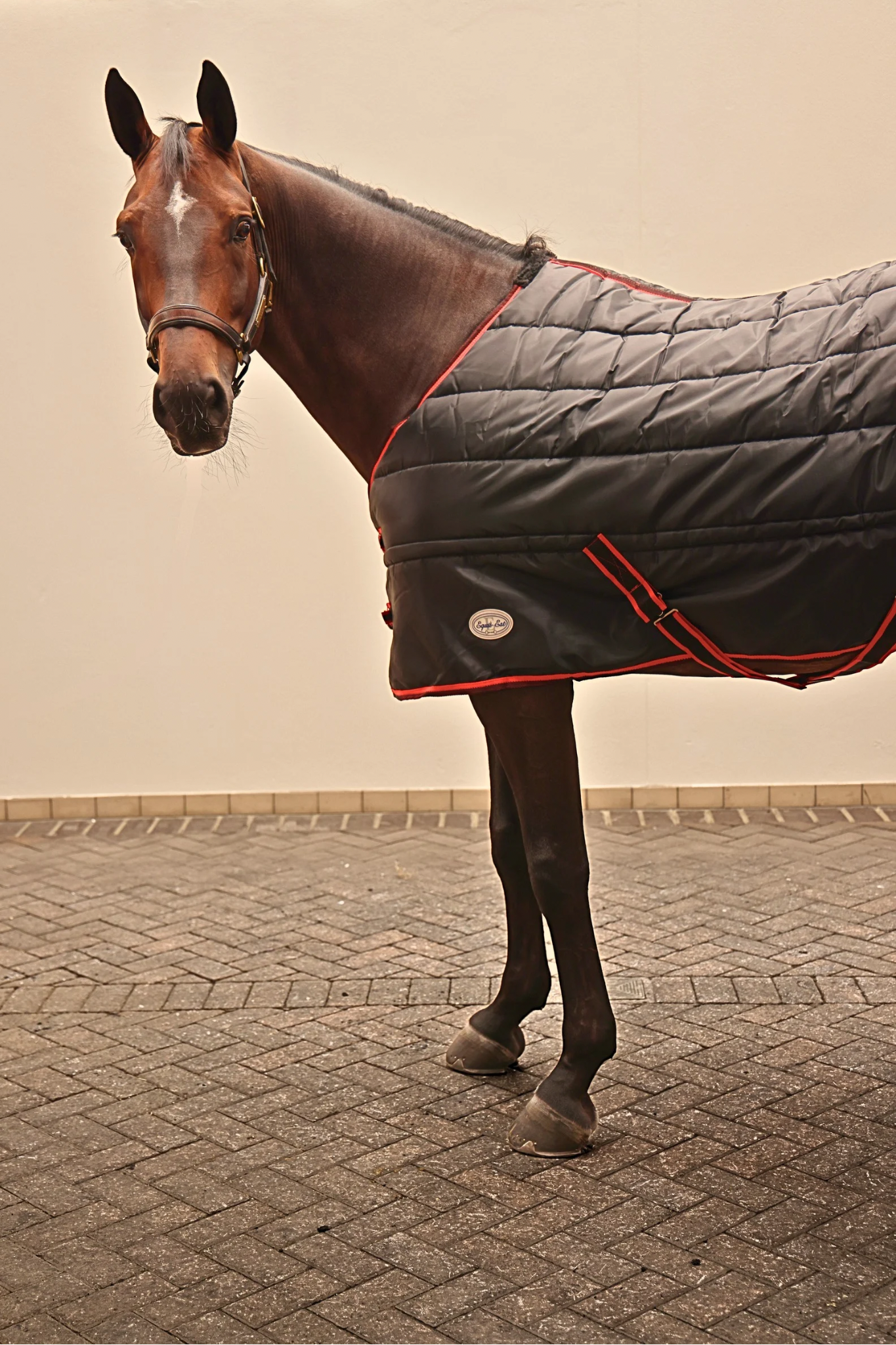 Sovereign Seal 350g Standard Neck Stable Rug