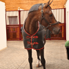 Sovereign Seal 350g Standard Neck Stable Rug
