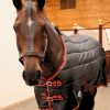 Sovereign Seal 350g Standard Neck Stable Rug