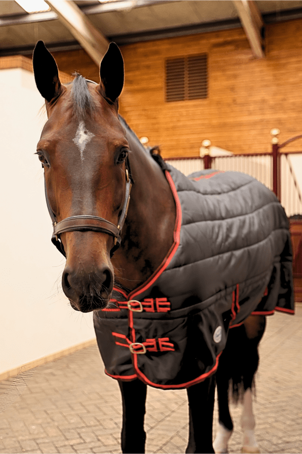 Sovereign Seal 350g Standard Neck Stable Rug