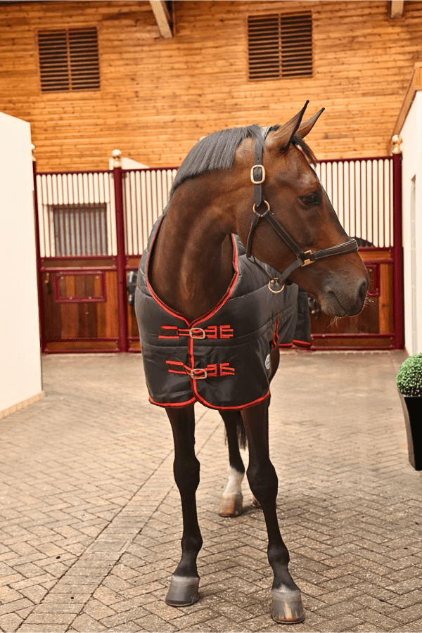 Sovereign Seal 350g Standard Neck Stable Rug