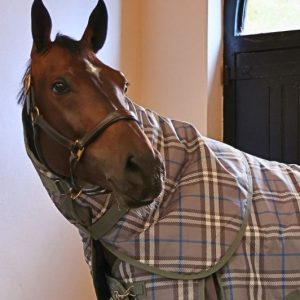 Double Vision 350g Turnout Rug