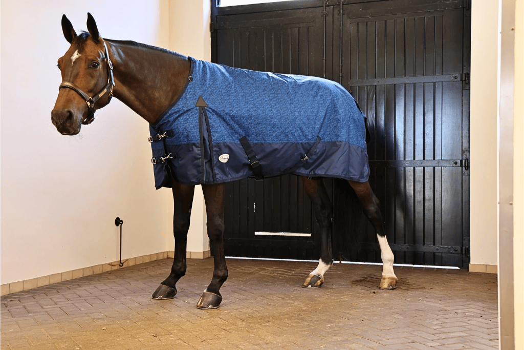 Furisto 200g Standard Neck Turnout Rug