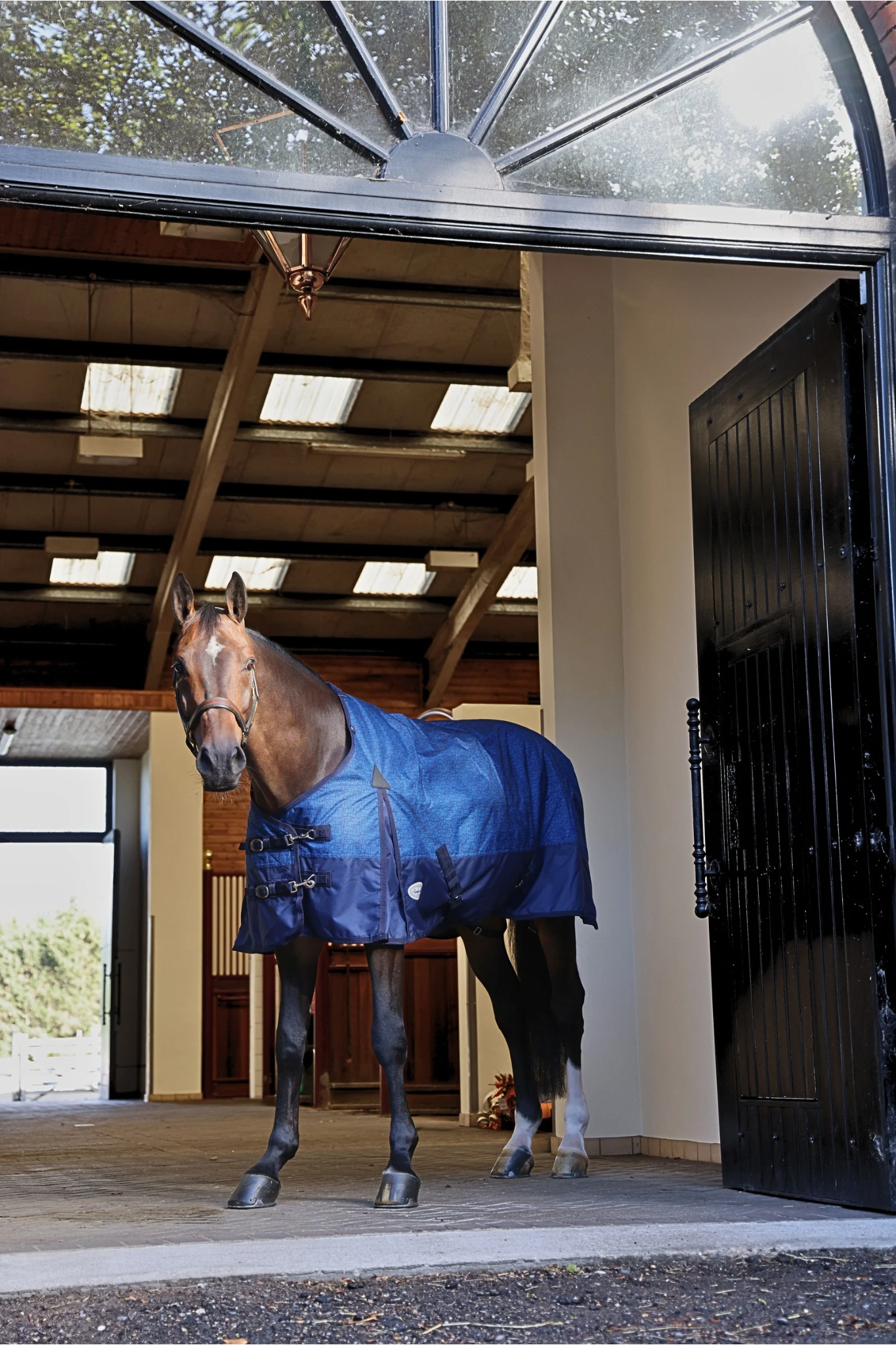Furisto 200g Standard Neck Turnout Rug