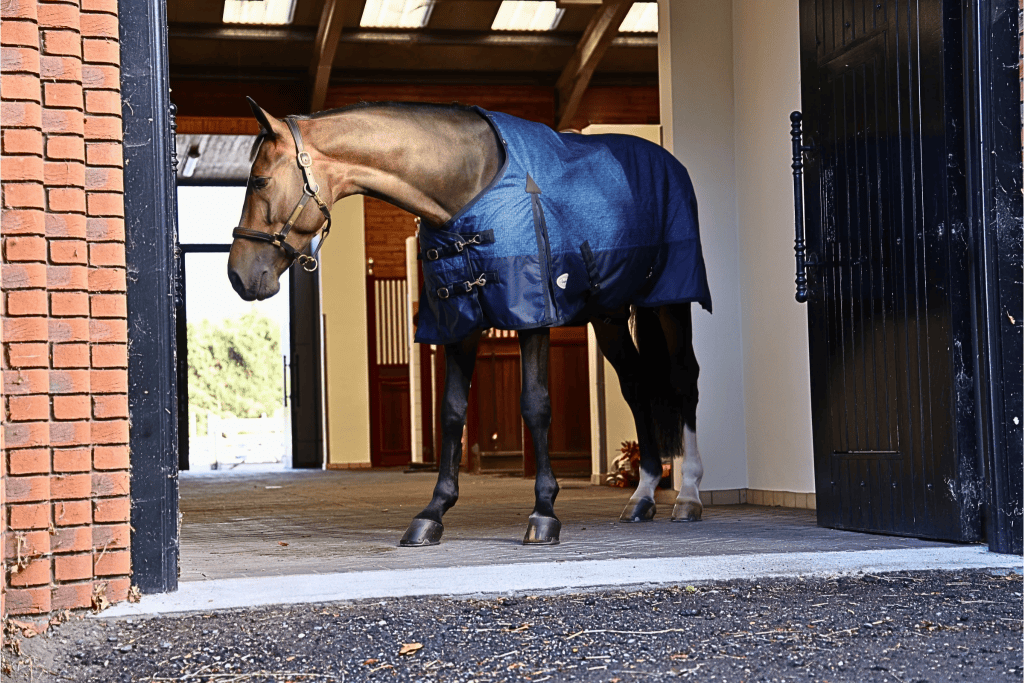 Furisto 200g Standard Neck Turnout Rug