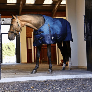 Furisto 200g Standard Neck Turnout Rug