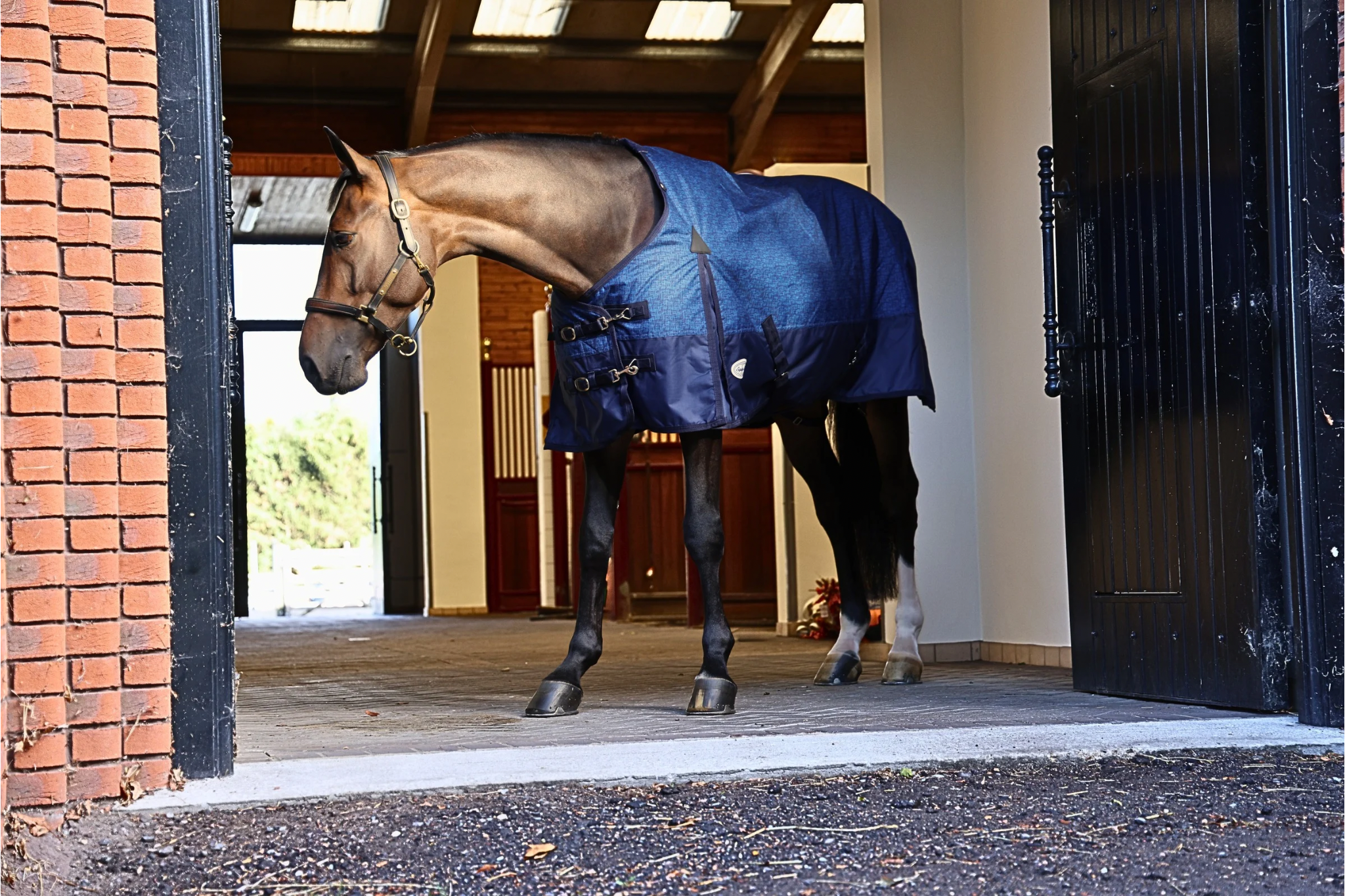 Furisto 200g Standard Neck Turnout Rug
