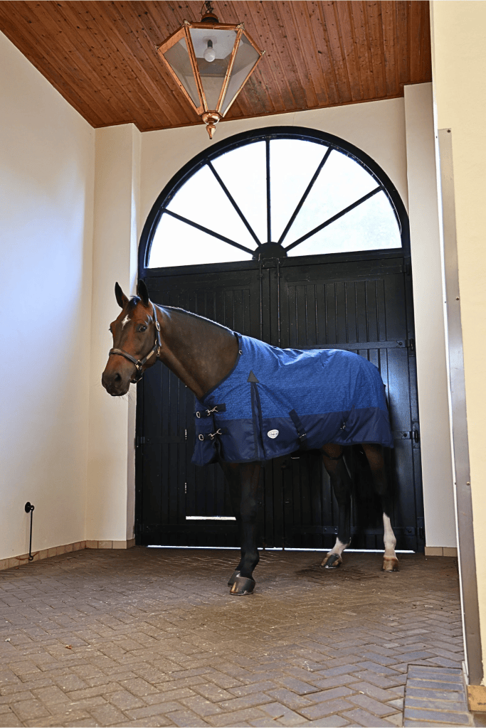 Furisto 200g Standard Neck Turnout Rug