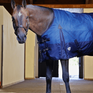 Furisto 200g Medium Weight Turnout Rug - Image 9
