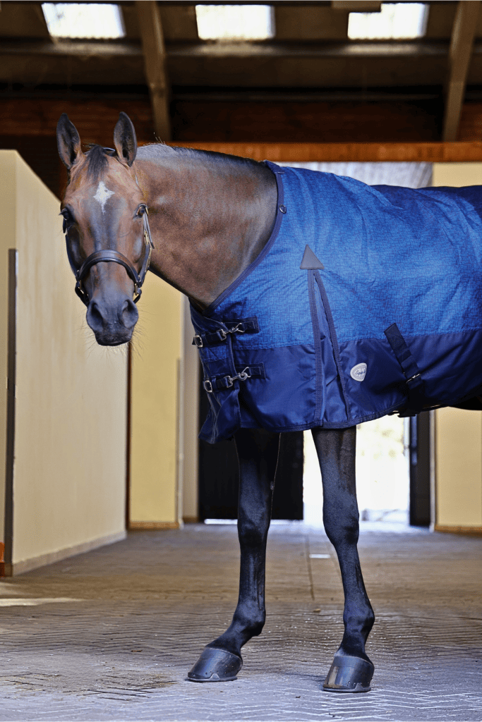 Furisto 200g Medium Weight Turnout Rug