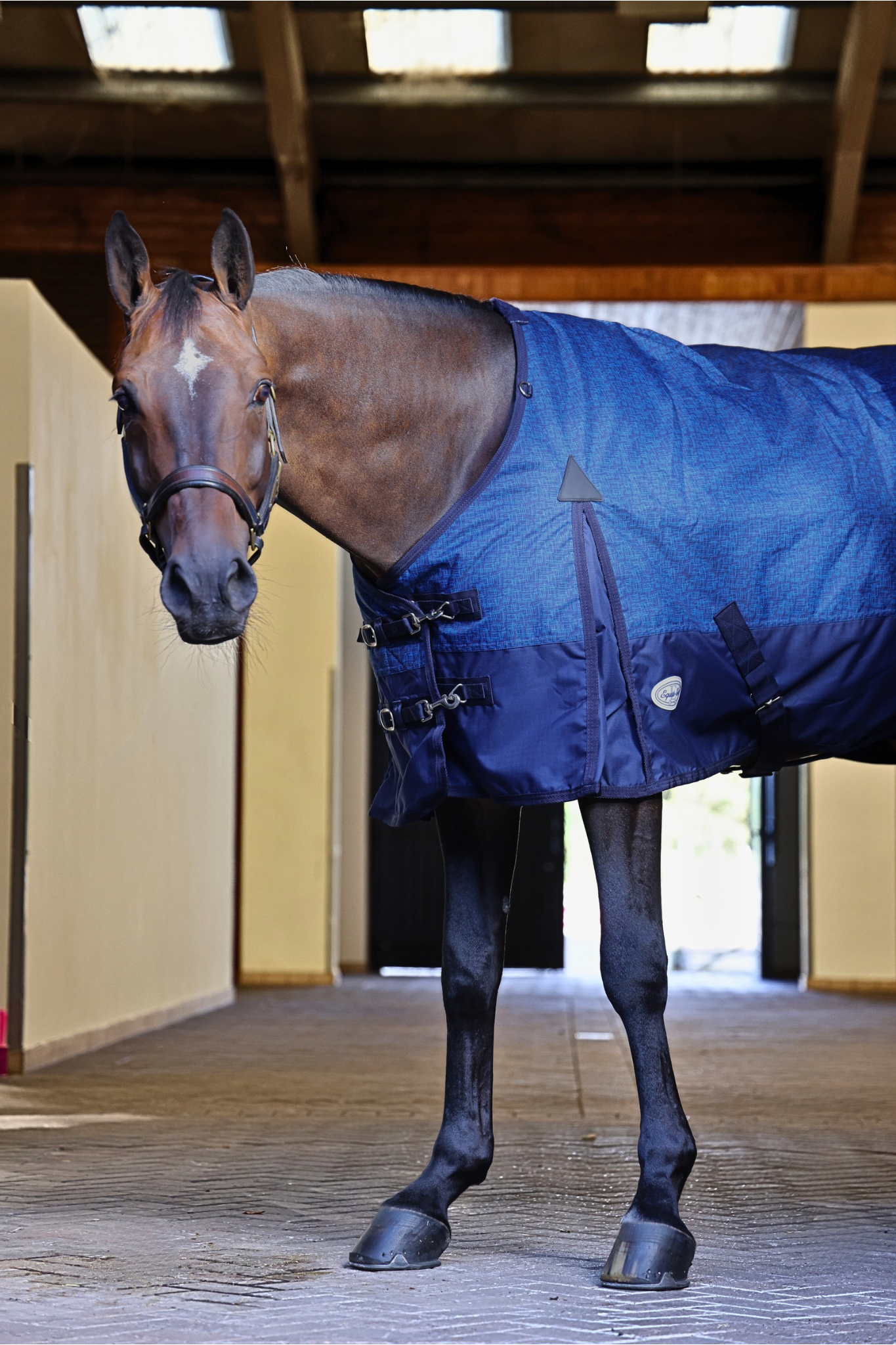 Furisto 200g Medium Weight Turnout Rug - Image 9