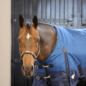Furisto 200g Standard Neck Turnout Rug